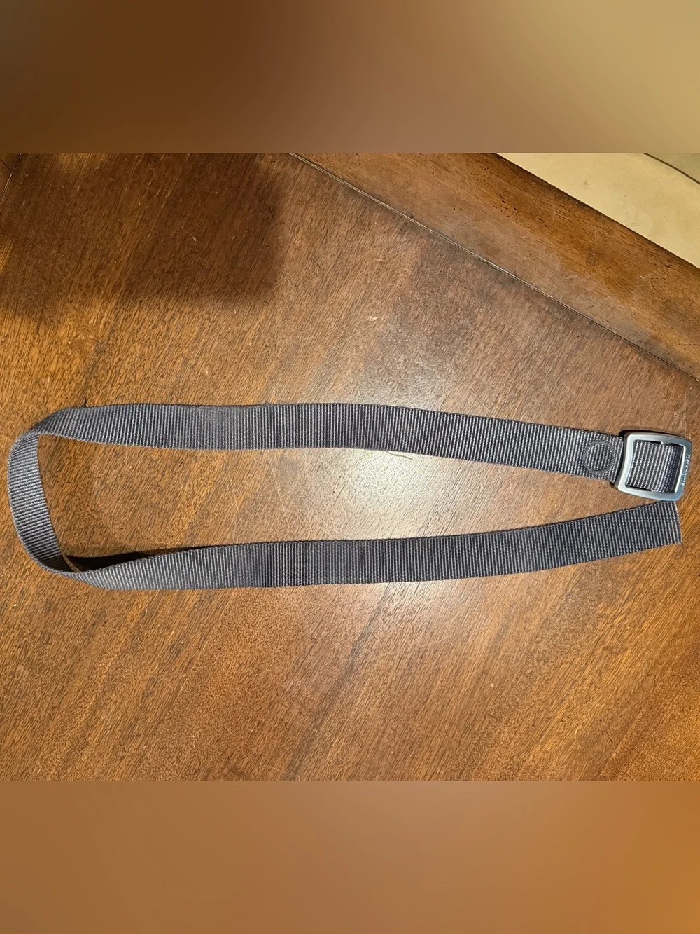 Patagonia Canvas belt